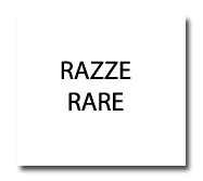 Ring Razze Rare
