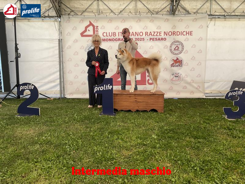 67f1093e8c5f7-image.jpg
