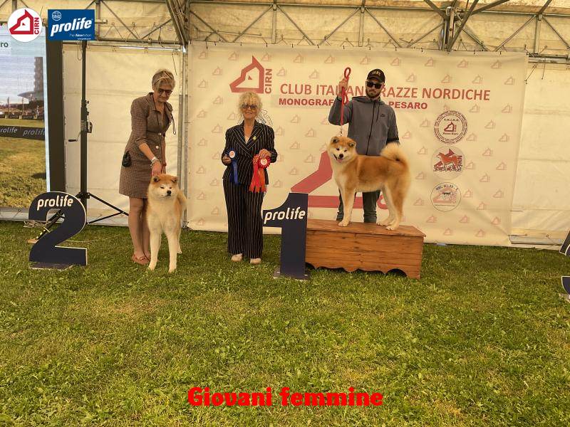 67f118296d0e7-image.jpg