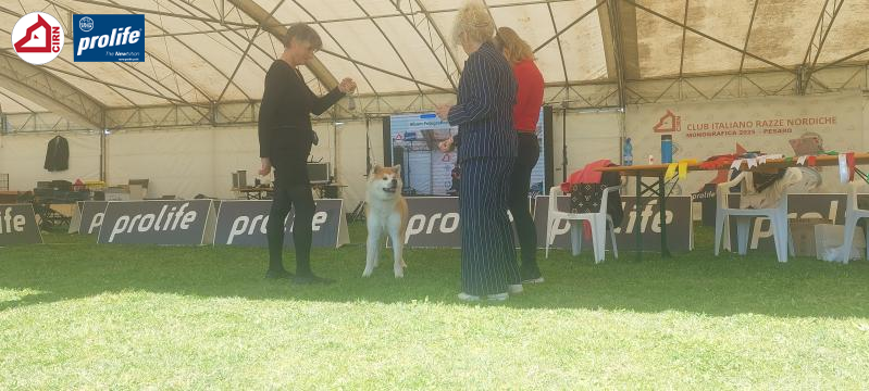 67f11921d8525-17438538075496253203196417209988.jpg