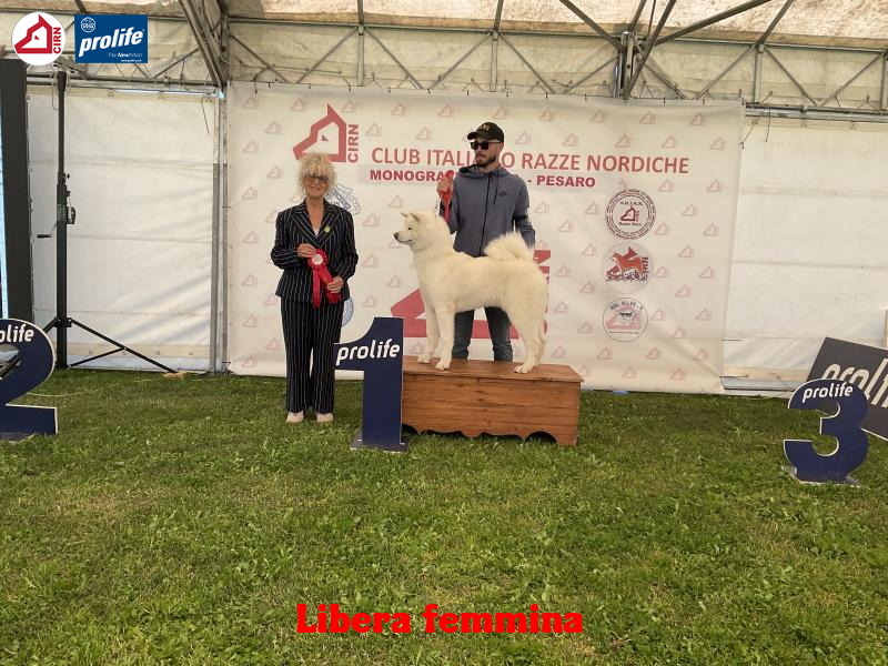 67f11d1c0610d-image.jpg