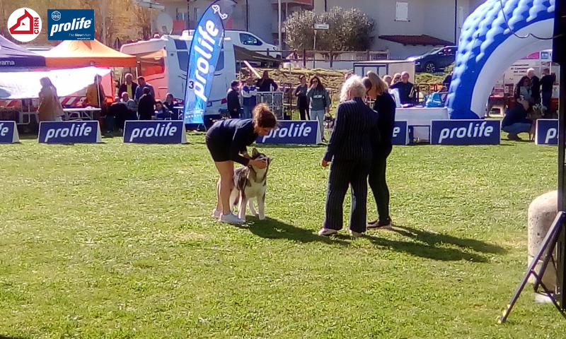 67f0ec5120186-1743842366999972325990.jpg