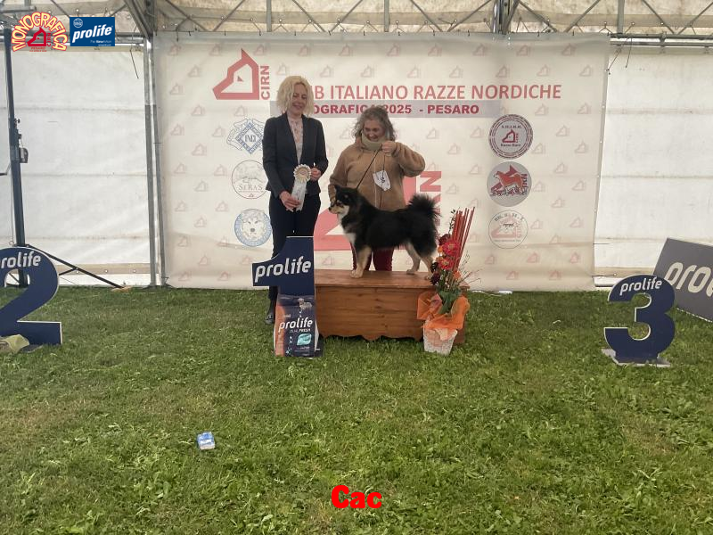 67f2539add658-image.jpg