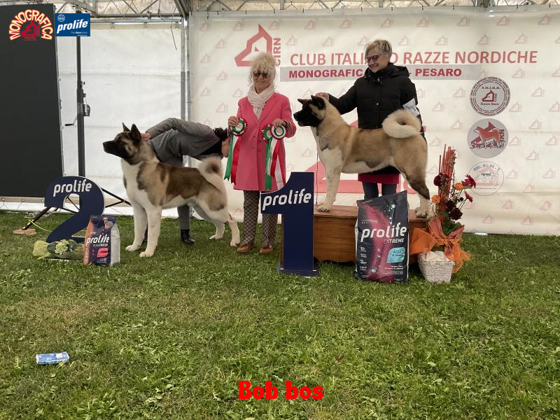 67f272fe41788-image.jpg
