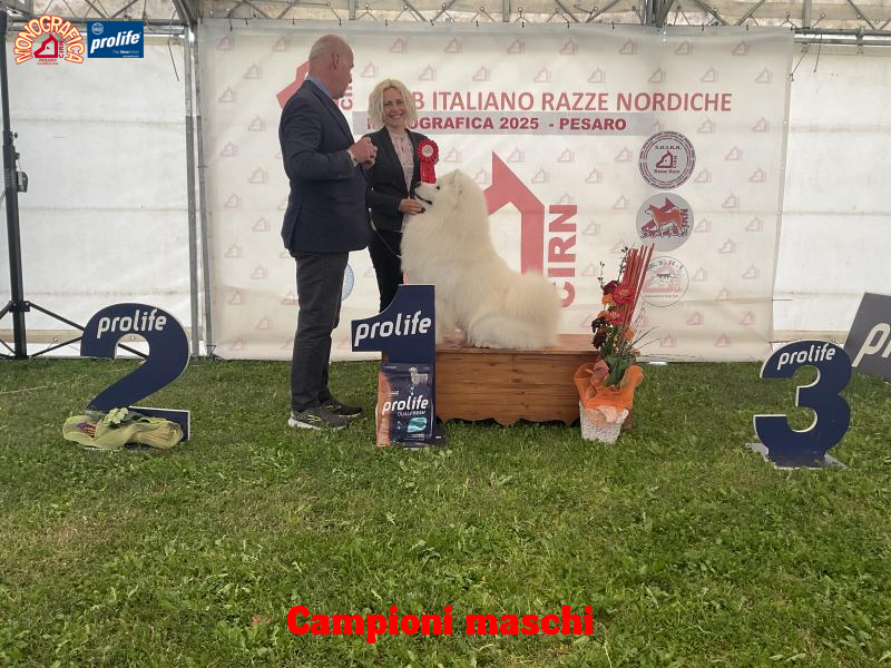 67f23835446df-image.jpg
