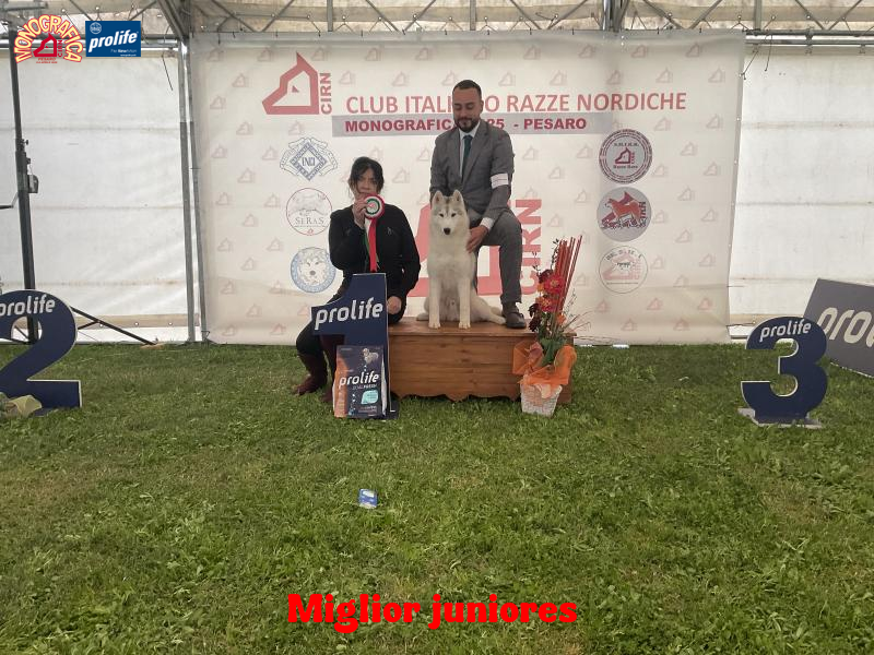67f2531c60b96-image.jpg