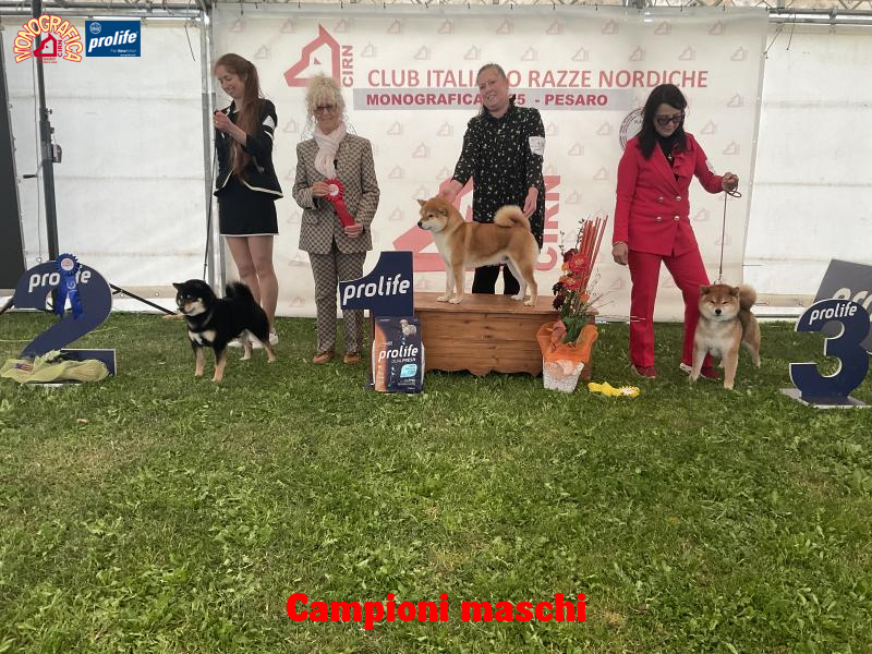 67f2474343afa-image.jpg