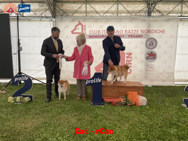 67f261c0cdc66-image.jpg