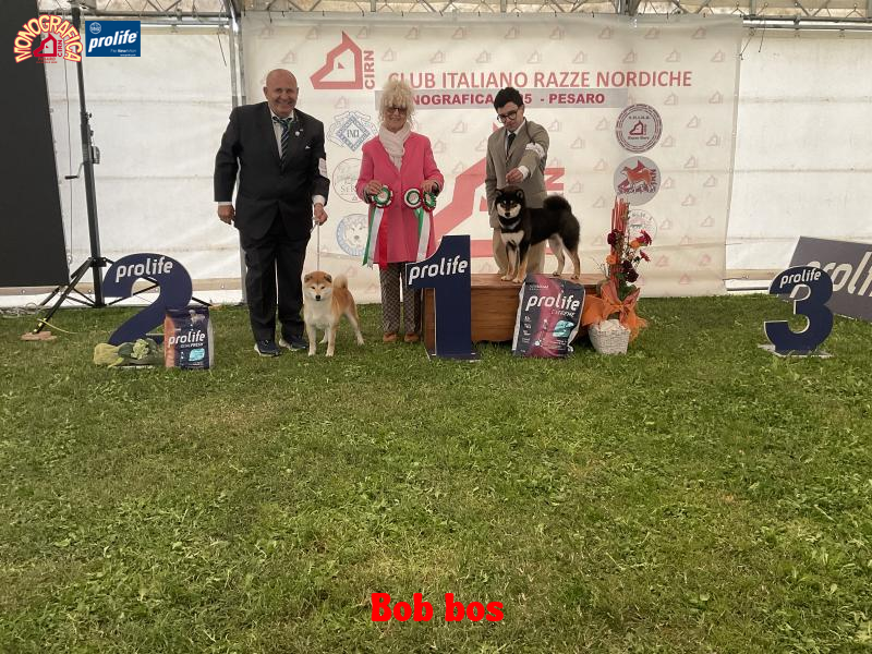 67f26afd8bf60-image.jpg
