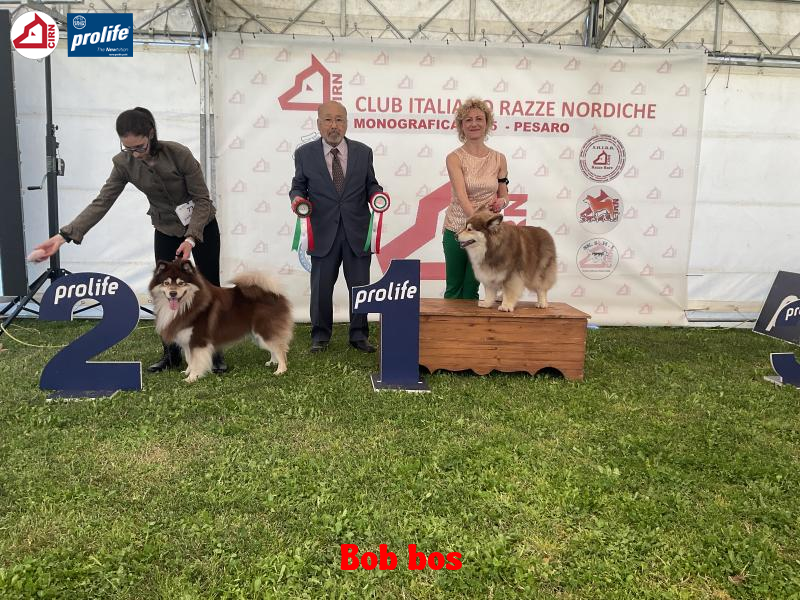 67f0e788d5022-image.jpg