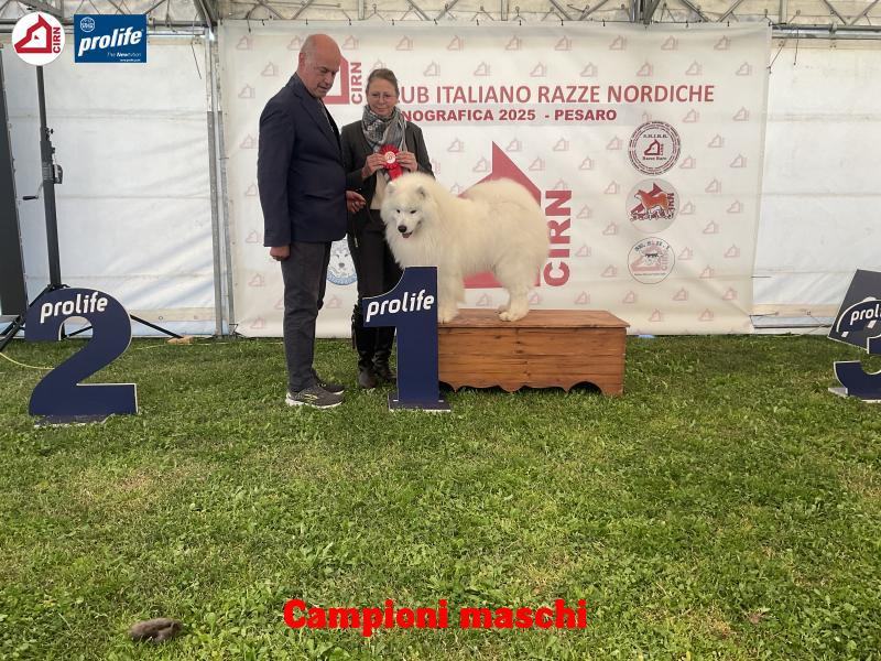 67f0eaaca55b0-image.jpg