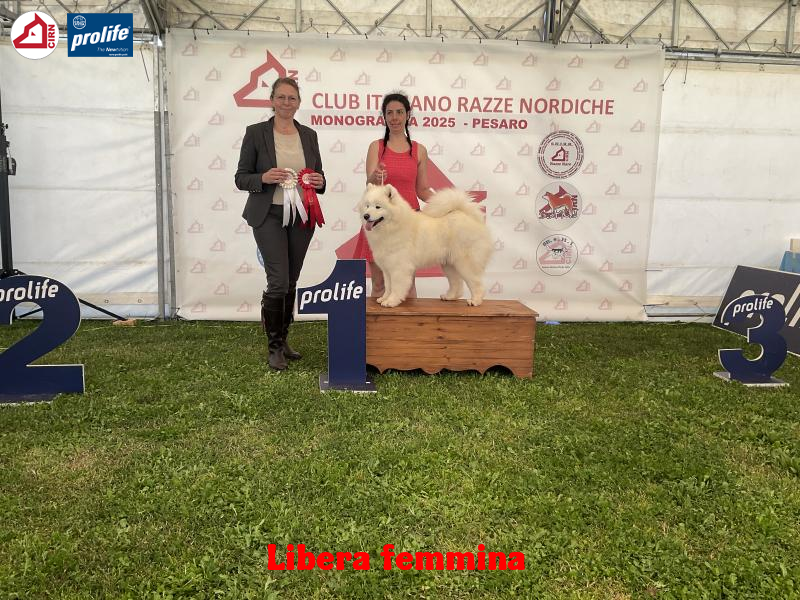 67f0f1432abc8-image.jpg