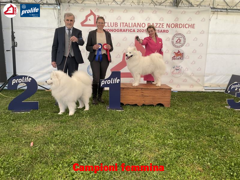 67f0f328c5ca8-image.jpg