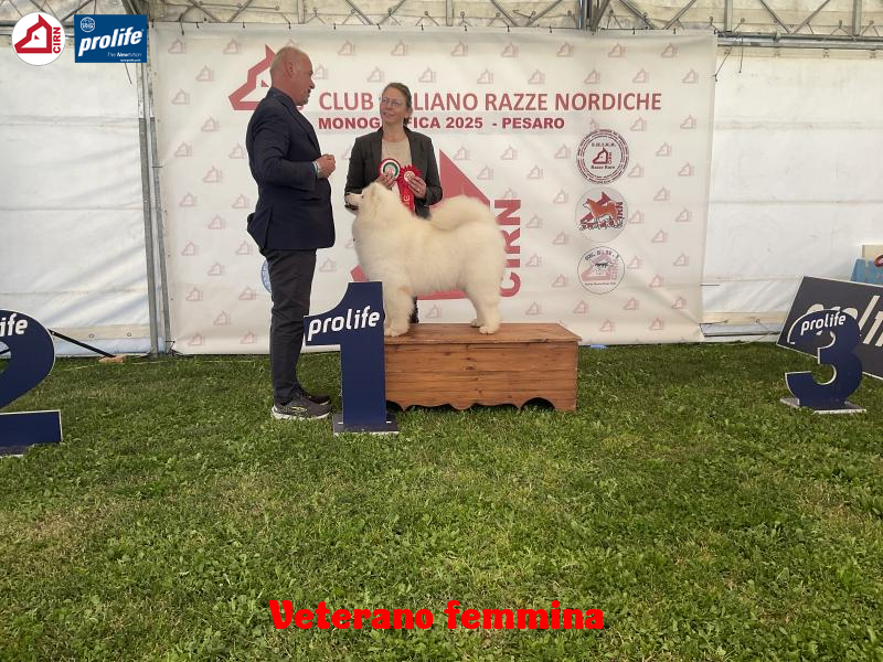 67f0f43256d8e-image.jpg