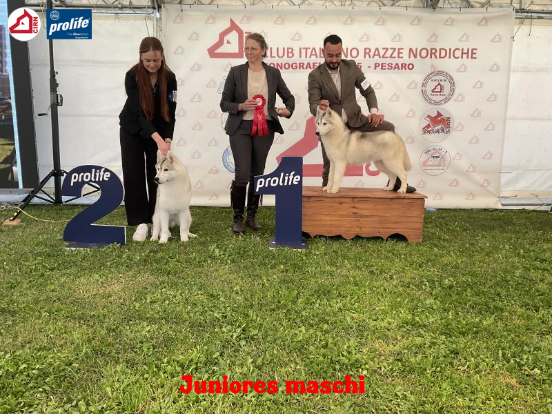 67f0f9fb24278-image.jpg