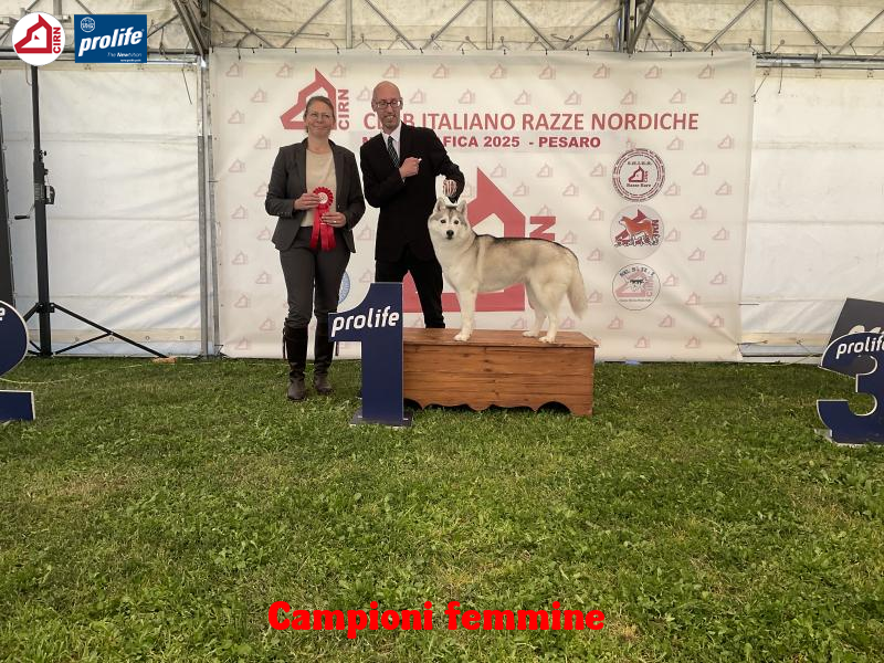 67f10fb0d4b04-image.jpg