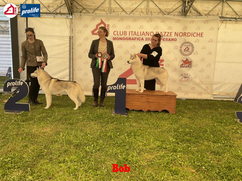 67f11174c2390-image.jpg