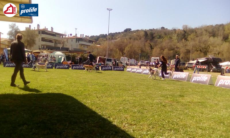 67f0fc452077d-174384...
