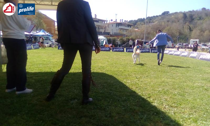 67f0fc724ad07-174384...