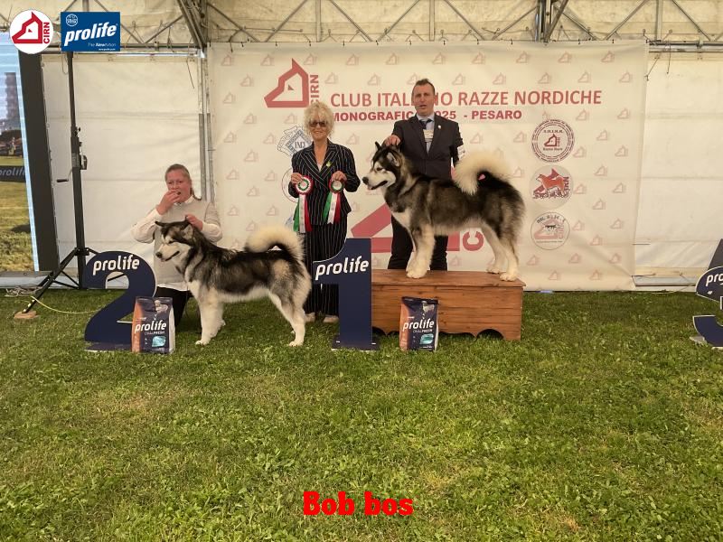 67f0fcb22aae5-image....