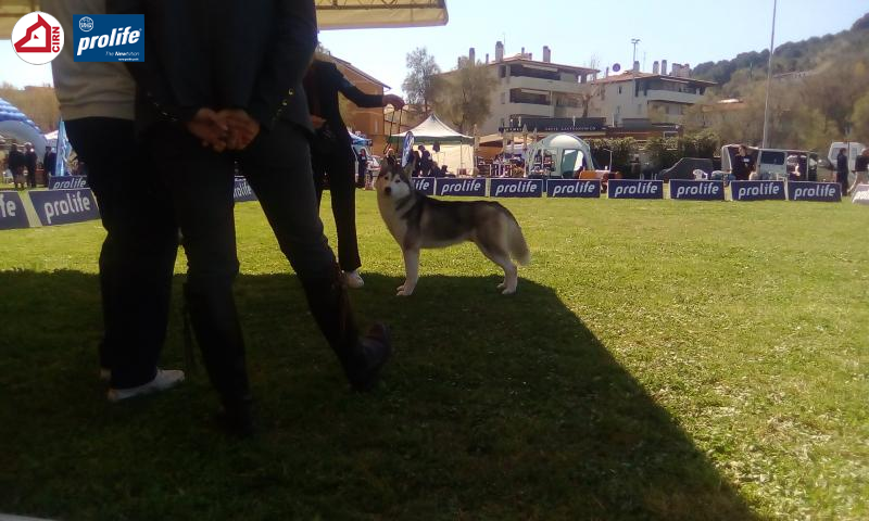 67f0fe516d928-174384...