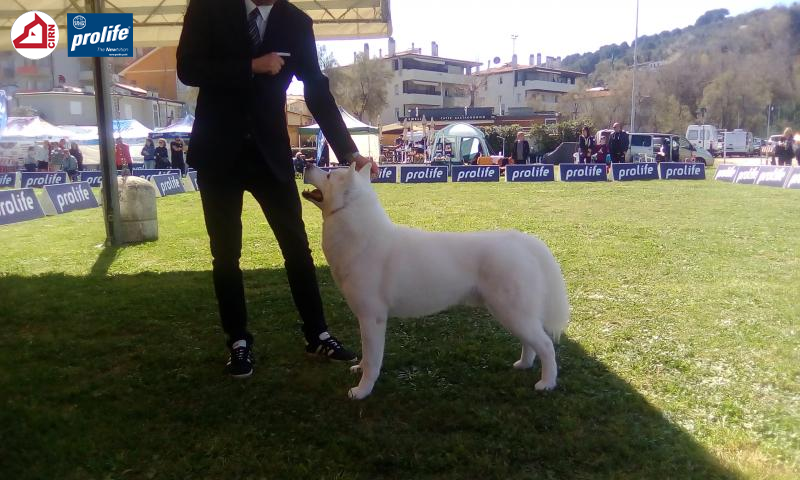 67f1003eabbca-174384...