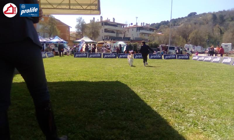 67f1011a4e2fe-174384...