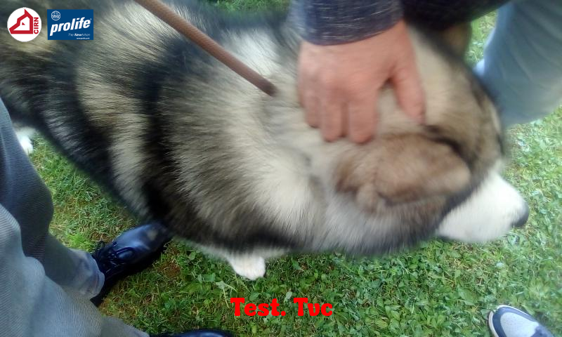 67f1046113f04-174384...