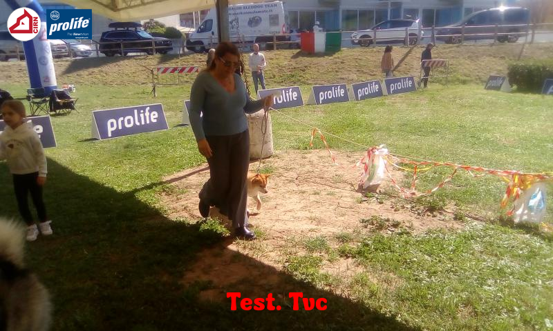 67f1051ed8f87-174384...