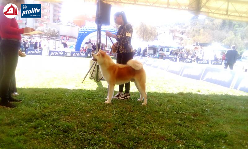 67f10a13bef60-174384...
