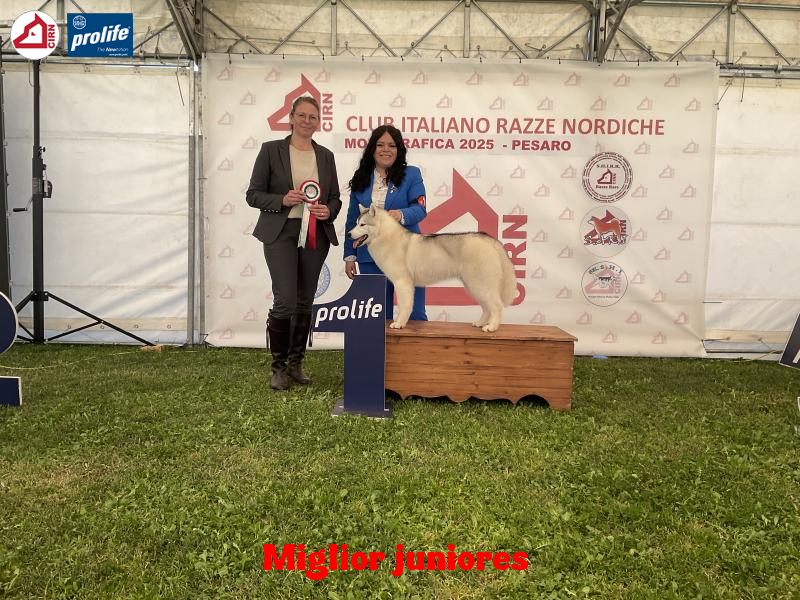 67f110475b0ab-image....