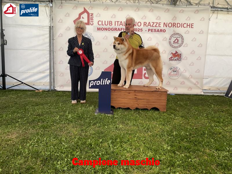 67f110d6d1022-image....