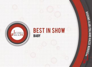 MONOGRAFICA CIRN – VIDEO BEST IN SHOW!