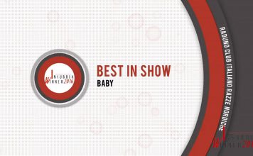 MONOGRAFICA CIRN – VIDEO BEST IN SHOW!