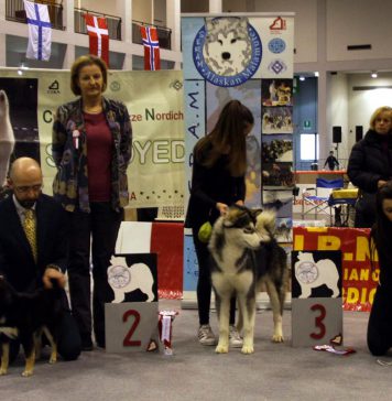 RADUNO C.I.R.N. PADOVA 15.01.2017
