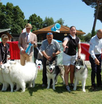 RADUNO C.I.R.N. PISA 03.06.2017