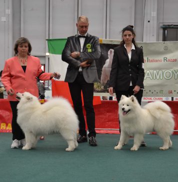 RADUNO C.I.R.N. REGGIO E. 18.03.2017