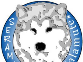 XV MALAMUTE DAY 2019