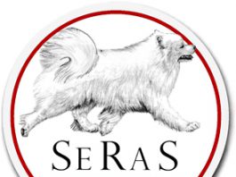 Relazione del Presidente 2016