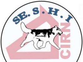 CAMPIONI SOCIALI SIBERIAN HUSKY 2018