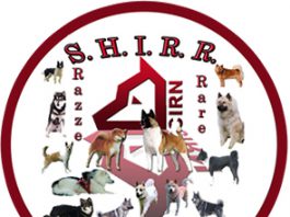 REGOLAMENTO DI ATTUAZIONE DI COMITATI DI SEZIONE DI RAZZA