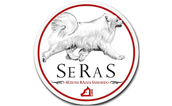 Verbale consiglio SERAS 16-06-2018