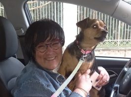 Relazione Esperto giudice Maria Grazia Miglietta Speciale Siberian Husky Busto Arsizio