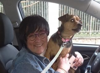 Relazione Esperto giudice Maria Grazia Miglietta Speciale Siberian Husky Busto Arsizio