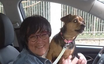 Relazione Esperto giudice Maria Grazia Miglietta Speciale Siberian Husky Busto Arsizio