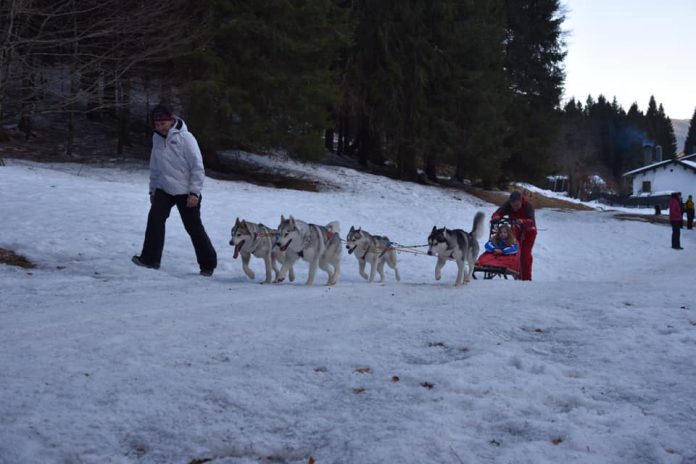 275967415_2799275200376313_4620606133500527189_n