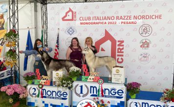 Album foto Monografica CIRN 10/4/2022