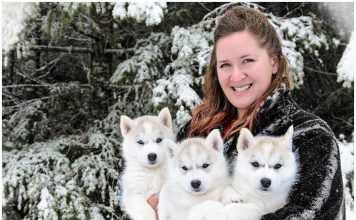 Relazione Tecnica sul Siberian Husky del Giudice Kelly Boyd (USA)