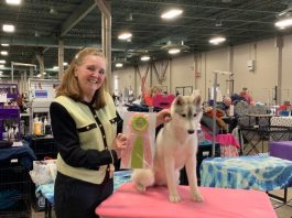 RELAZIONE TECNICA SUL SIBERIAN HUSKY DEL GIUDICE ANNE PALMER (USA)