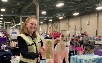 RELAZIONE TECNICA SUL SIBERIAN HUSKY DEL GIUDICE ANNE PALMER (USA)